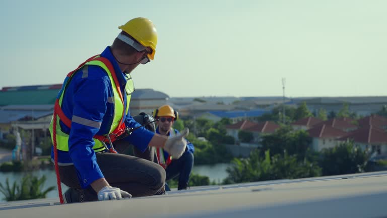 Best Roof Moss and Algae Removal  in Fulton, TX